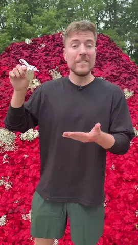 #Amazingvideo #foryou #teachtiktok #viral #Amazingvideo 