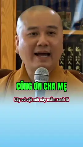 Cây có cội mới nảy mầm xanh lá #thichphaphoa #thayphaphoa #suutamphapthoai #tuehung #vulanbaohieu 