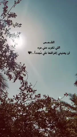 عباراتكم أصمم عليها 🖤🫳🏻 #لايك_متابعه_اكسبلور #عباراتكم_الفخمه📿📌 #اعاده_نشر🔁 #تصويري_احترافي_الاجواء👌🏻🕊😴 #الحله_بابل_العراق 