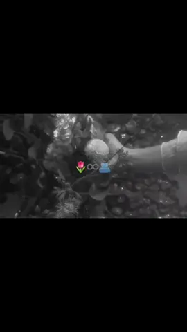 🌚🍃#ᑕᗩᗯO🌚✨️🌷 