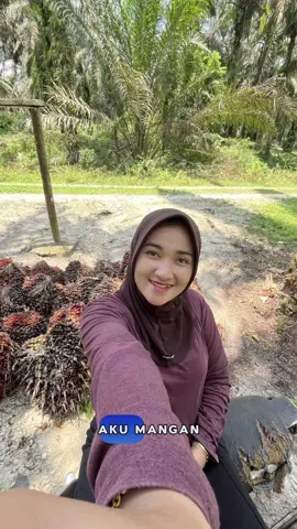 🫵 #kulisawit #xybca #petanisawit #petanimuda #fyp 
