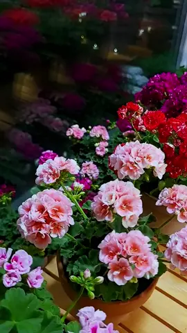 Transform Your Space with Creative Garden Decor #gardendecor, #diygarden, #backyardinspiration, #gardenideas, #homeimprovement