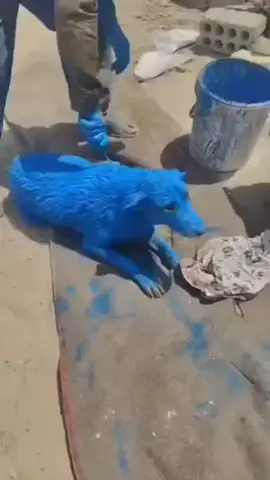 هذا ليش هيج كاعد يصبغ بي سوالف العراقي ماتخلص 
