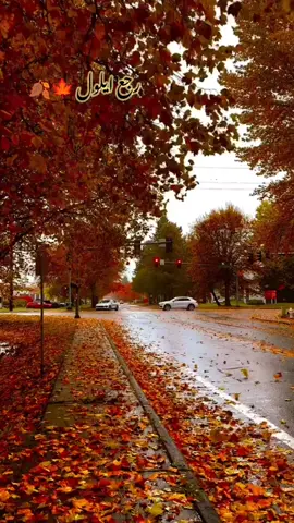 رجع أيلول🍁🍂🌧#رجع_أيلول🍁🍂 #فيروز #رجع_ايلول_وانتَ_بعيد💕 