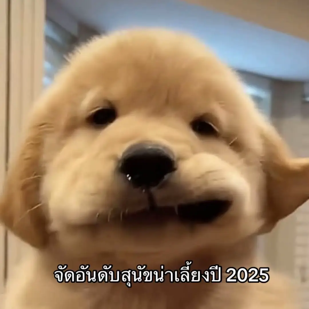 มีเจ้าของก็หวง #06 