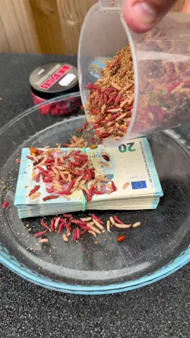#money #euro #asmr #50euro 