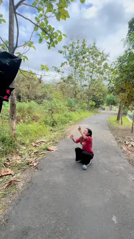 Curi layangan sikepok mas mas jawa #layangan #sikepok #mencuri #dr #dramabocil  
