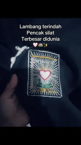 Hati Yang Bersinar 🥰 #pshtstory #pencaksilat #hatibersinar #pshtpusatmadiun #tubagusagung