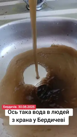#бердичів 