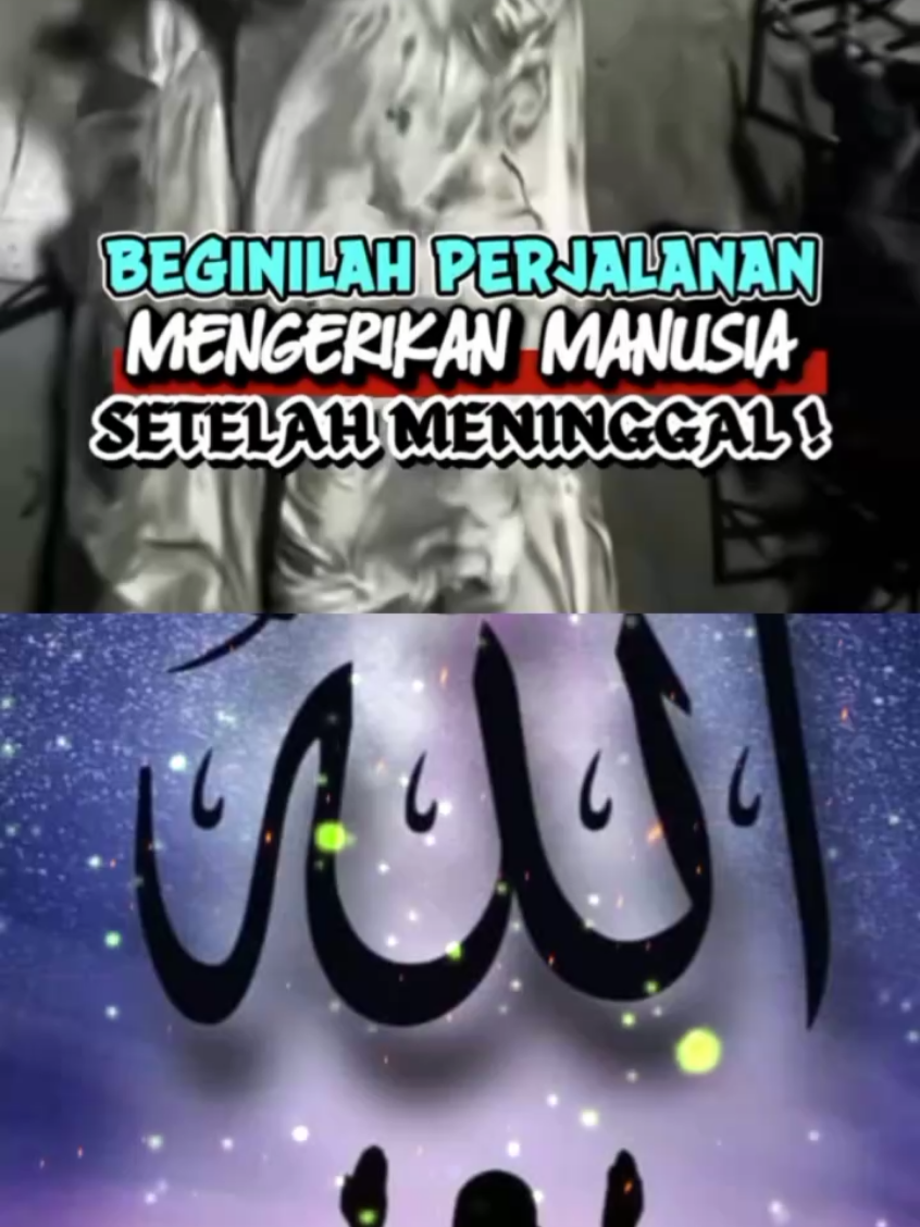 #duet dengan @TANYA ISLAM YUK #seputarislam #perjalanan#manusia#setelah#kematian#