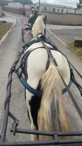 #cobsoftiktok🐎 She’s So Good Love Her. 🫶🏻