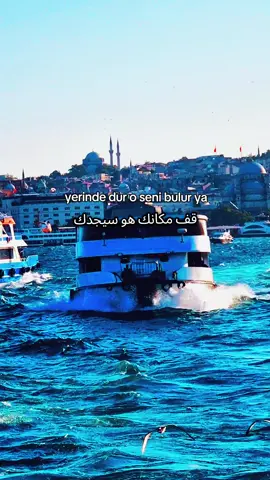 yerinde dur قف مكانك 🌹 #foryour #f #xplore #following #اكسبلور_متابعه_ولايك 