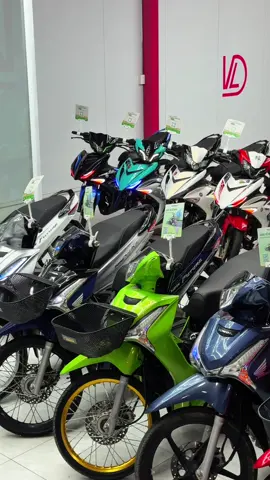 Chỉ cần cccd là ae có thể sỡ hữu được 1 trong các bé ở đây nha 🥰🥰#xemaydangvulinh #dvlminishop😋 #xedovietnam #xuhuongtiktok 