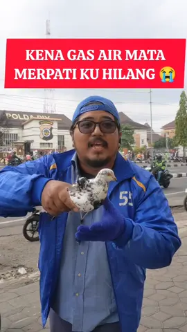 Burung Merpati Ku Dimana Kamu !! 😭 #demo #kerusuhan #poldadiy #jogja #merpatilovers 