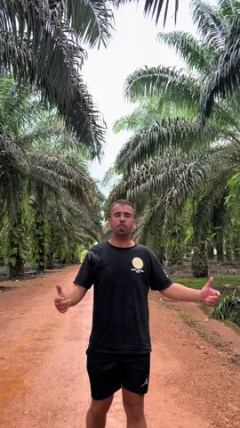 Local life In Indonesia 🇮🇩 #bali #bangkabelitung #palmtree #fyp #goviral 