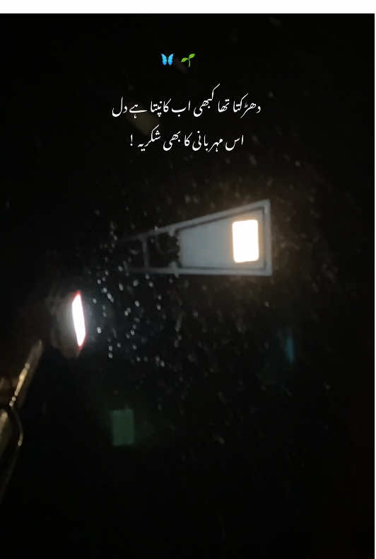شکریہ محترمہ ۔🦋🌱 #fypシ゚ #2xpoetry #streetphotography #fyp #viralvideo 