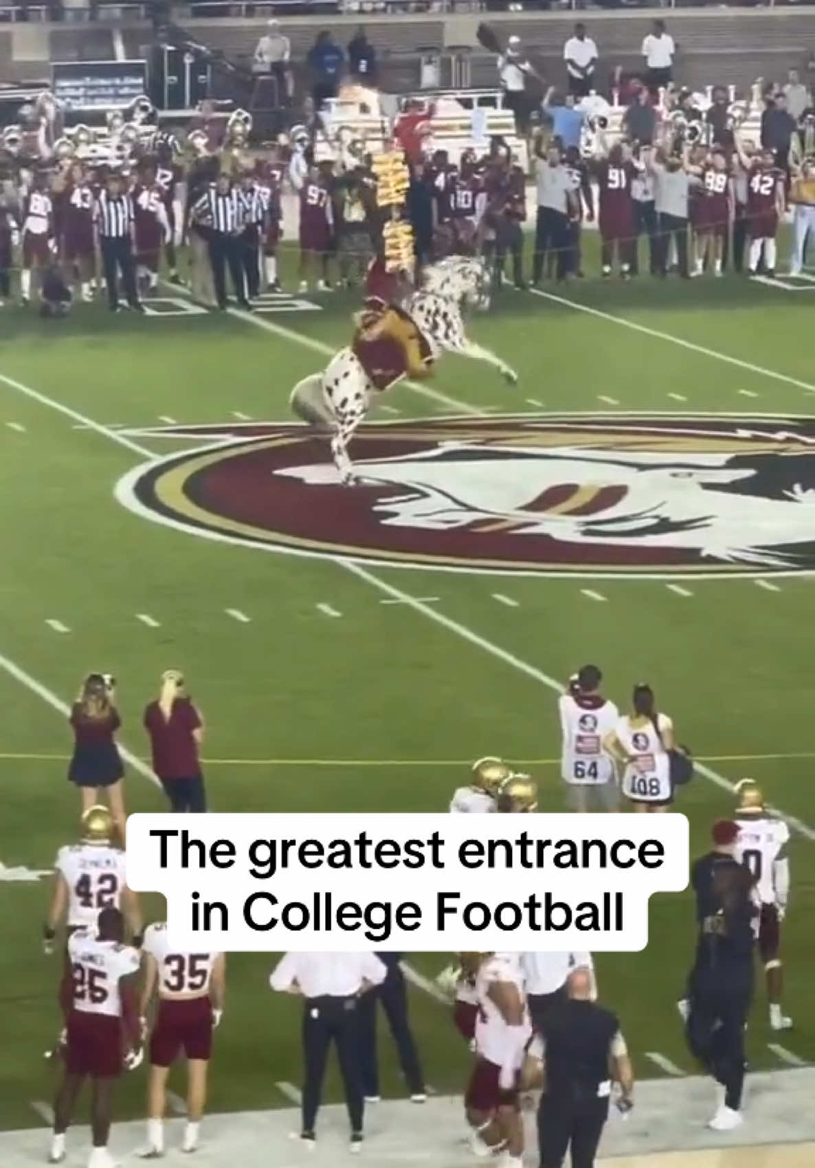 Absolute Chills #fsufootball #floridastateseminoles #collegefootballtiktok 