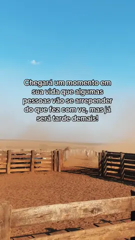 #pecuariabrasil🇧🇷🐂🐂🐂🐂 #jadsejadson #pecuariabrasil #bovinos #sertanejoraiz 