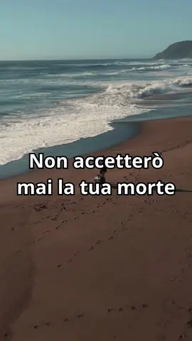 Leggi e dedicala a quella persona che non c'è più... 🪽 Trovi il libro NEL SILENZIO DEL TUO ADDIO solo su Amazon 📖 Autore: Carezze di Luce ✍️ Ogni perdita lascia un vuoto che nessuno può colmare, ma anche un amore che nessuno può cancellare. Questo libro è un dialogo sospeso tra cielo e terra — parole scritte col cuore per chi cerca una luce nel buio del lutto. Un viaggio intimo tra ricordi, assenze e silenzi che parlano forte. 👇 Commenta 