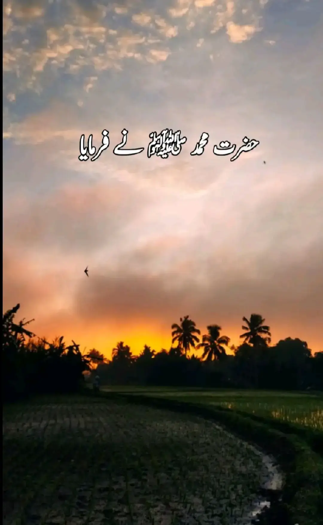 #foryou #fyp #goviral #tiktokpage #tiktokteamplzzzunfreezmyacoount  @TikTok @pakistanTikTokofficial @Muslim 