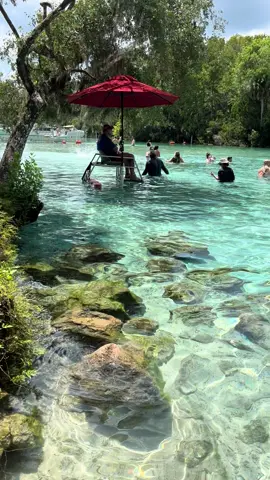 Explore one of Florida’s most beautiful springs #floridasprings #floridalife #hiddengems #viral #outside 