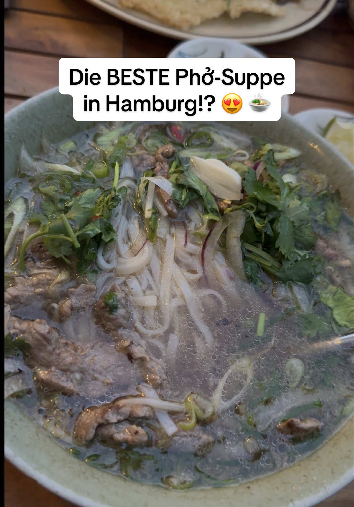 Ihr müsst unbedingt sehen, was wir gestern bei Chez Xinh in Hamburg gegessen haben 😍🔥 Von Vorspeise über die beste Phở-Suppe Hamburgs bis zum Mango Sticky Reis – alles ein Traum! 🌿🍲🥭 Bleibt bis zum Ende dran und schreibt mir eure Lieblings-Phở Spots in Hamburg in die Kommentare! 😮‍💨 #pho #vietnamesefood #mangostickyrice #foodvlog #FoodLover #fyp #phở 