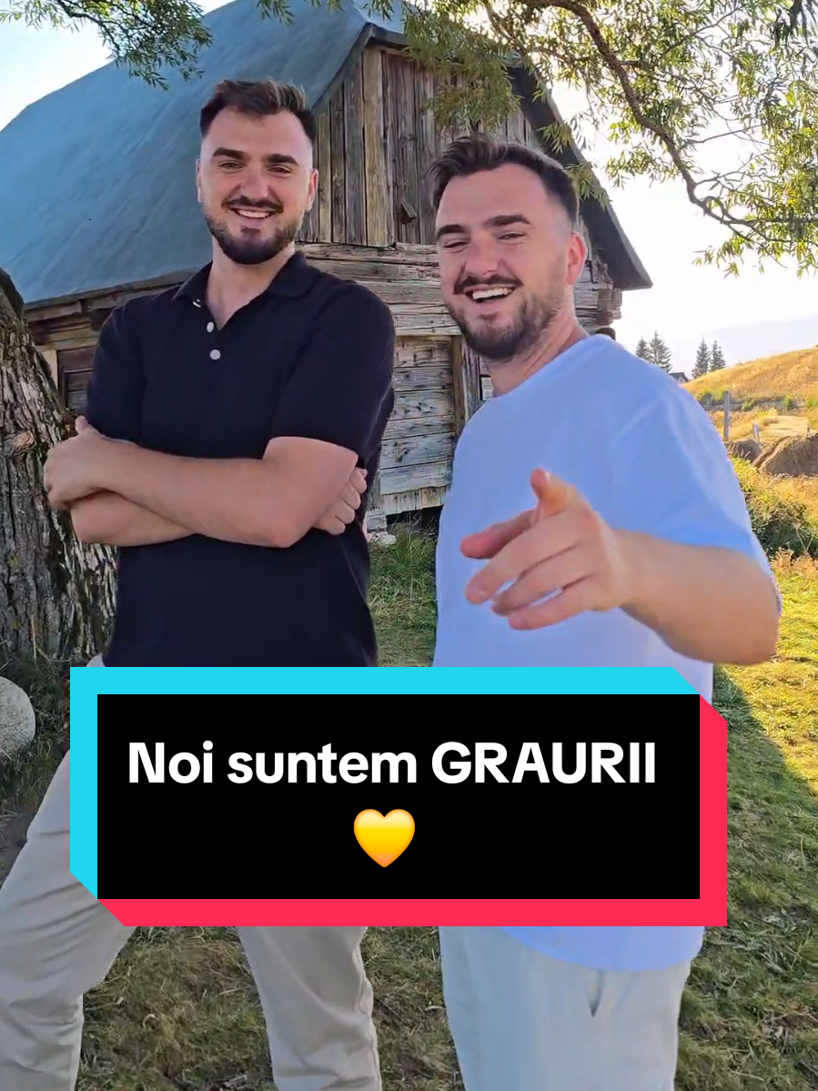 Noi suntem GRAURII 💛  #graurii #romania #foryou #viral 