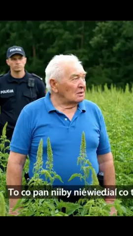 #babcia #polska #ai #2025 Myślałem że to pokrzywa!