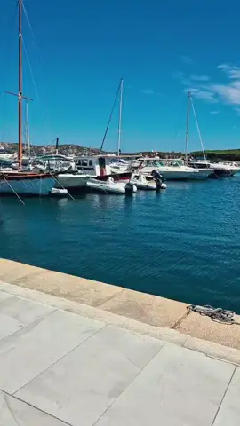 #الشعب_الصيني_ماله_حل😂😂 #الجزائر #اكسبلور  découverte île de la maddalena partie 2