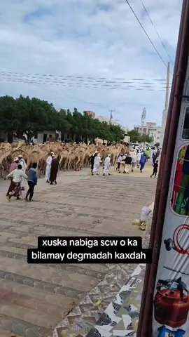 degmadah kaxdah o ka bilamay xuska nabiga scw