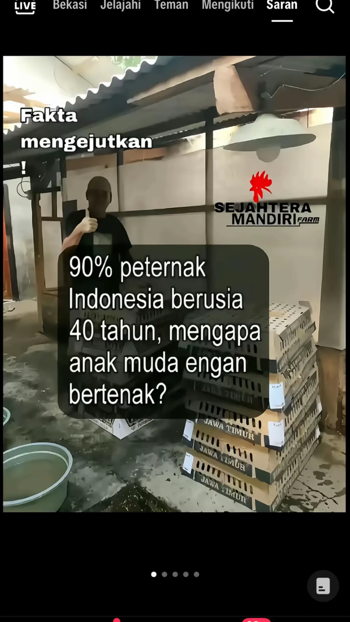 ternak landak 2 biji 😋