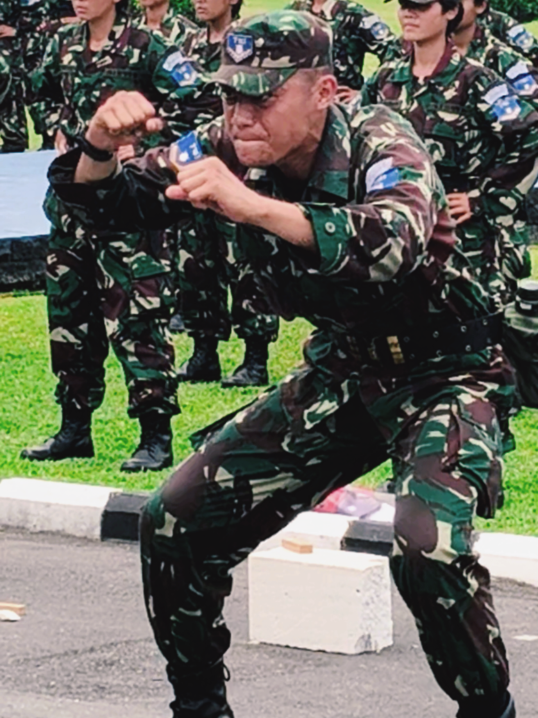 Yel yel Tentara #tni #tniindonesia🇮🇩 #tniau #angkatanudara #bintara 