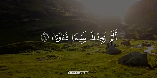 اكتب ما تؤجر عليه #المنشاوى #elomda_qr #قران #محمد_صديق_المنشاوي 