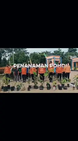 Penanaman Bibit Buah di lingkungan kantor bpbd, Salam Lestari, Batang Hari super Tangguh💚#lewatberanda #fypage #bpbdbatanghari #Salam_TANGGUH #batangharisupertangguh @Pemkabbatanghari @ZULVA FADHIL @MHD Fadhil Arief 