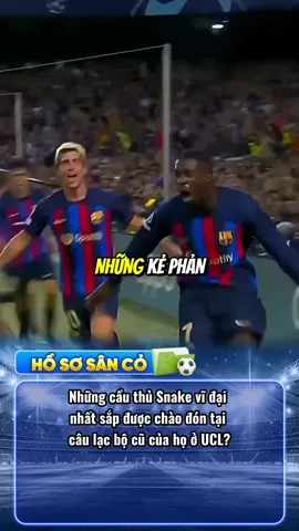 Những con 
