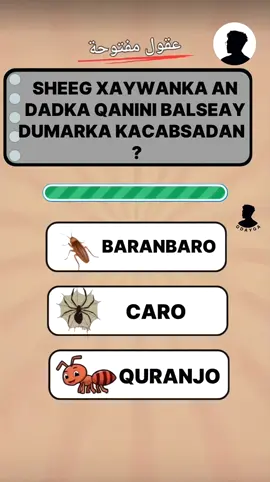 SU AALO IYO JAWAABO💯🤍NABIGA NAGULA SALI(صل على محمدا)🩵💯💚🤍💚🤍💚🤍💚🤍💚🤍💚🤍💚🤍💚🤍💚🤍💚🤍💚💚🤍💚🤍💚🤍💚🤍💚🤍💚🤍💚🤍💚🤍💚🤍💚🤍#foryoupage #fypシ゚viral #forviryou #ODAYGA__22 #kusali_rusul_kena_muxamed_scw 