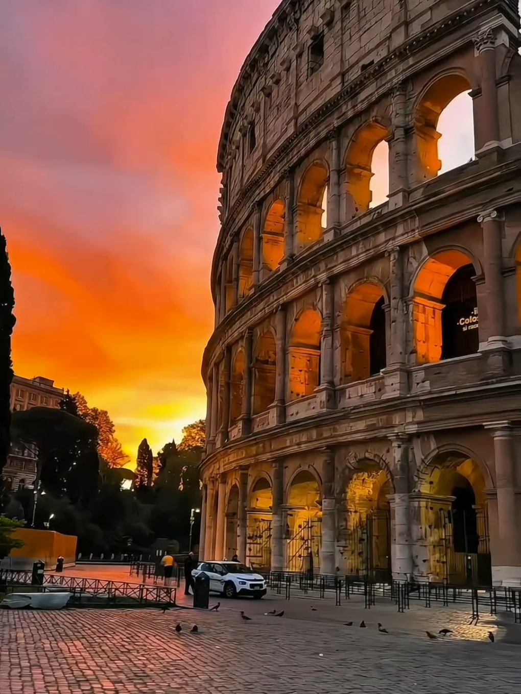 can't explain reason of madness🥺🇮🇹#italy #flight #emotion #motivation #studyabroad 