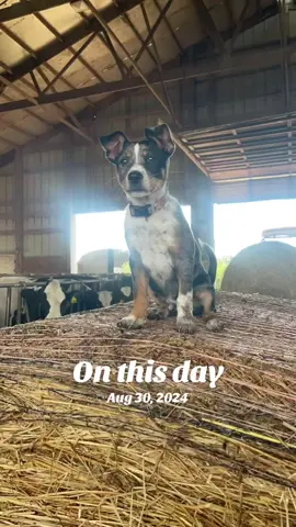 #onthisday 
