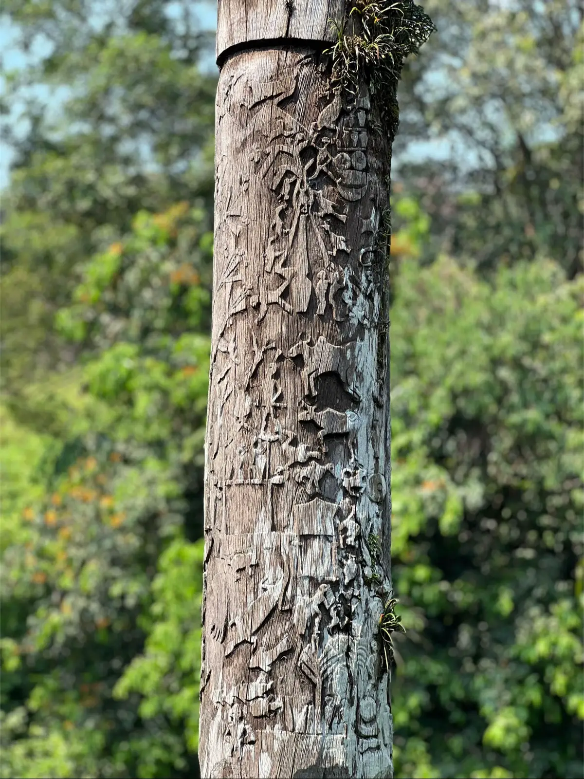 Sokalan #kalimantanbarat #borneo #dayak #dayakmelahui 