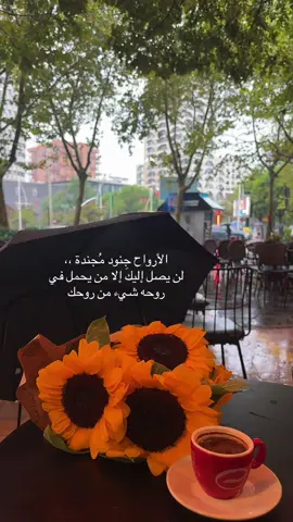 #explore #capcut #العراق_السعوديه_الاردن_الخليج #بوح 