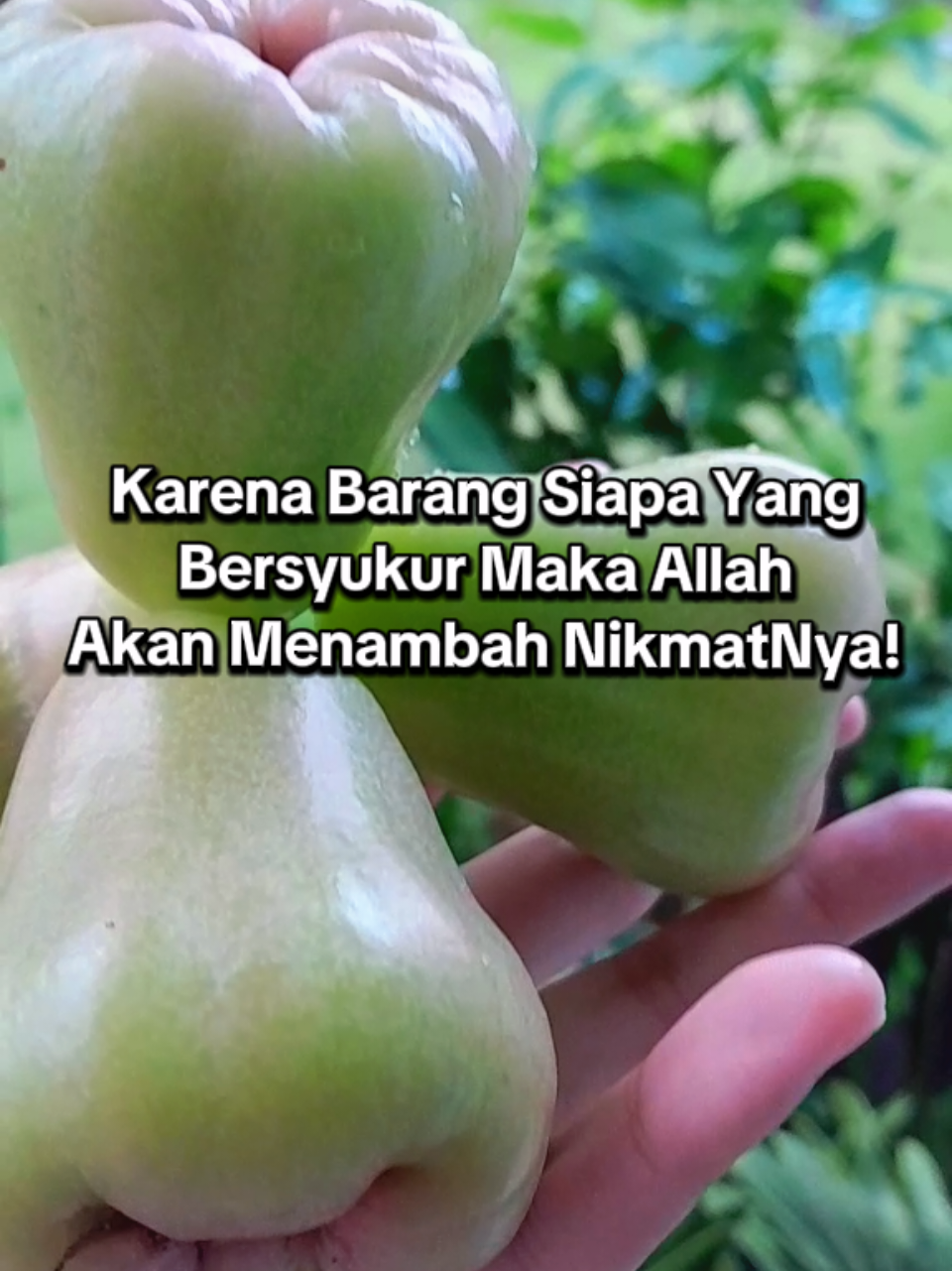 Selalu Bersyukur Atas Apapun Karena Yakinlah Allah Selalu Memberikan Yang Terbaik! #syukurselalu #bersyukur #alhamdulillah #fyp 