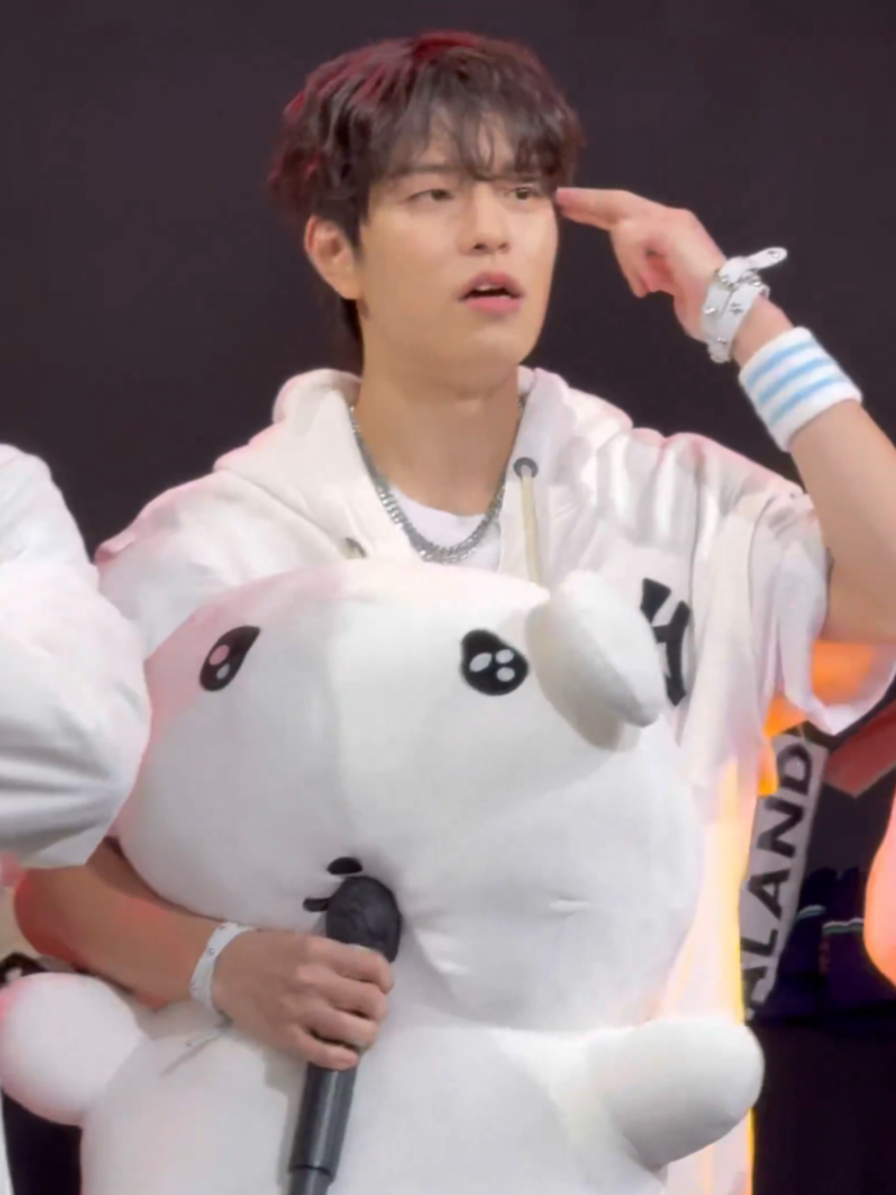 seungmin in my head at fanmeeting🐶 #seungmin #StrayKidsComeback 