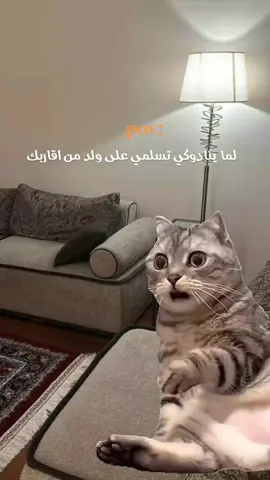 🤨!.  فكرة: @✨SAMA✨  #🤨 #تصميمي #محتوى_ديني #في_هاذا_اليوم #قران_كريم @عـلي|🇵🇸📚1431 