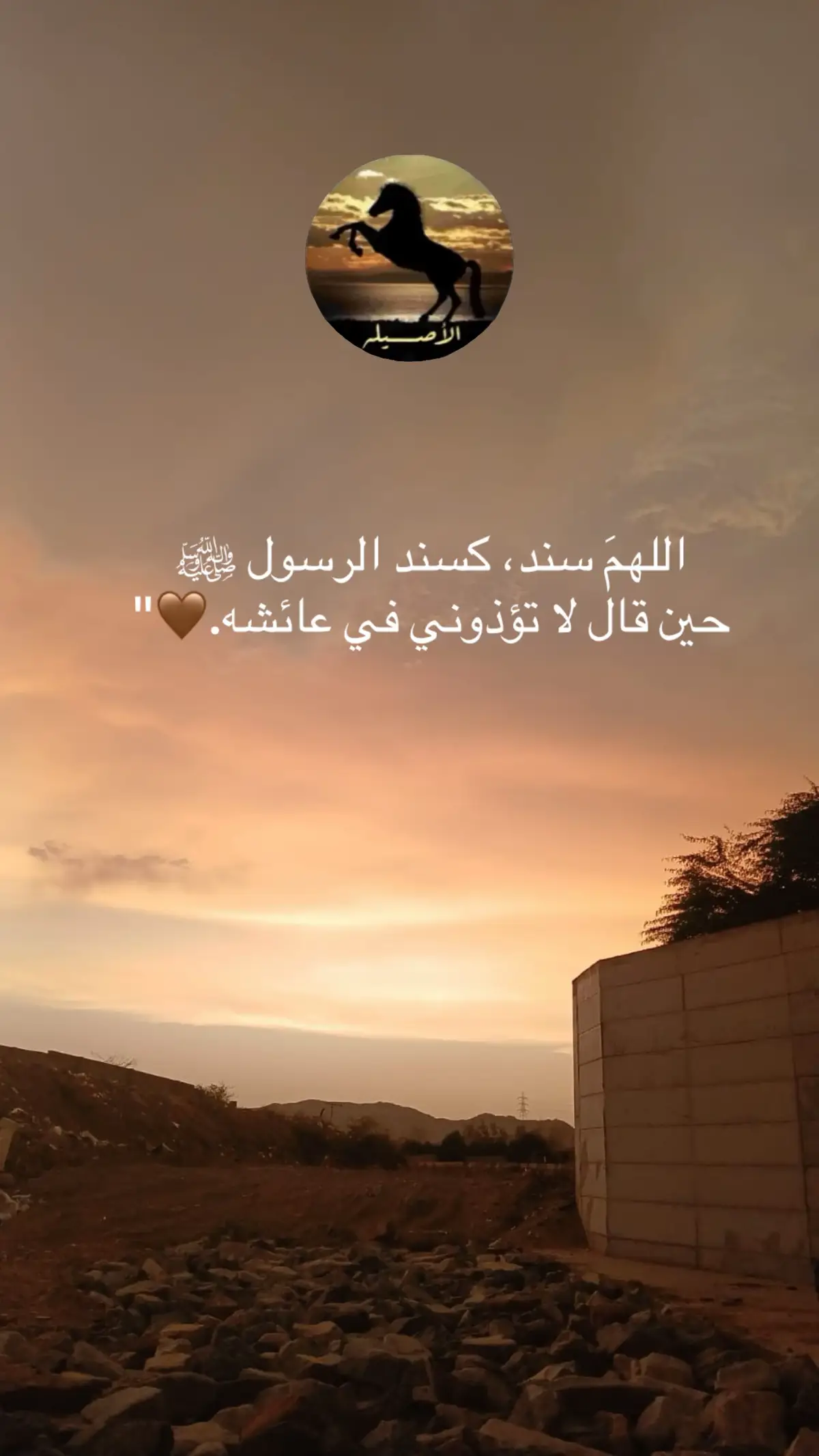 ‏اللهمَ سند، كسند الرسول ﷺ  ‏حين قال لا تؤذوني في عائشه.🤎