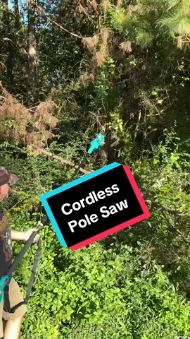 Pole Saw with lithium batteries absolutely works out great for trimming limbs #polesaw #cordlesspolesaw #minichainsaw #seesiitools #tiktokshoplabordaysale 