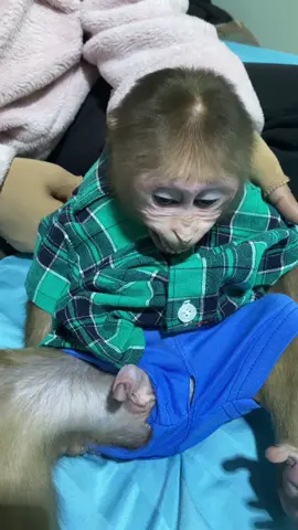 Baby monkey miker so adorable 