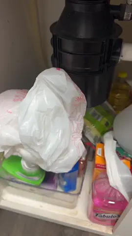 I really let under my sink get out of hand! Let’s fix that ! #fypシ #organizedhome #kichen #CleanTok 