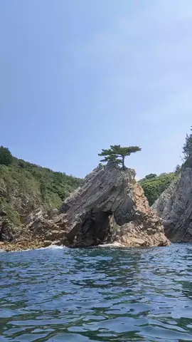 小さな夢04.船で大冒険したい 絶景すぎるのと海が綺麗で ぼくなつや、アンチャーテッドの世界みたいでワクワクした ⚓️鳥取県 浦富海岸島めぐり遊覧船 #鳥取 #絶景 #おすすめスポット #日本旅行 #旅行日記 #visitjapan 