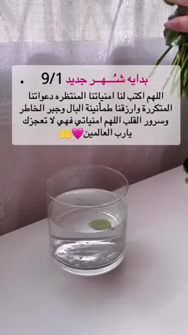 بدايه شـُـــــهــــر جديد 9/1🩷🤲#تصميم_فيديوهات🎶🎤🎬 #العراق_السعوديه_الاردن_الخليج #لبنان_مصر_الخليج_سوريا #الشعب_الصيني_ماله_حل😂😂 #تركيا_العراق_الكويت_مصر_سوريا 