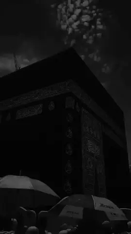 واللـــــــه ثم واللـــــــه لو امطرت ذهباً من بعد ما ذهبا  #دعاء_يريح_القلوب_ويطمئن_النفوس 